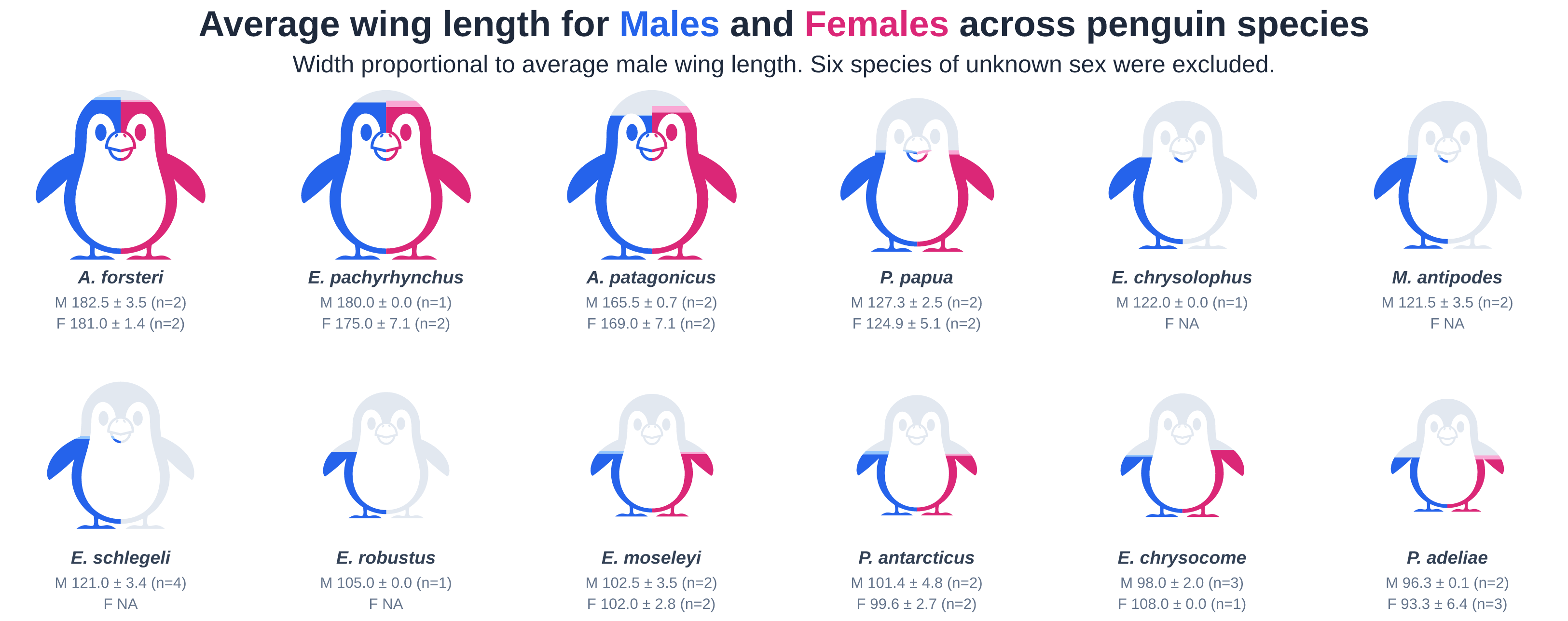 Many penguins - AVONET dataset
